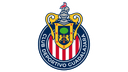 Guadalajara W logo
